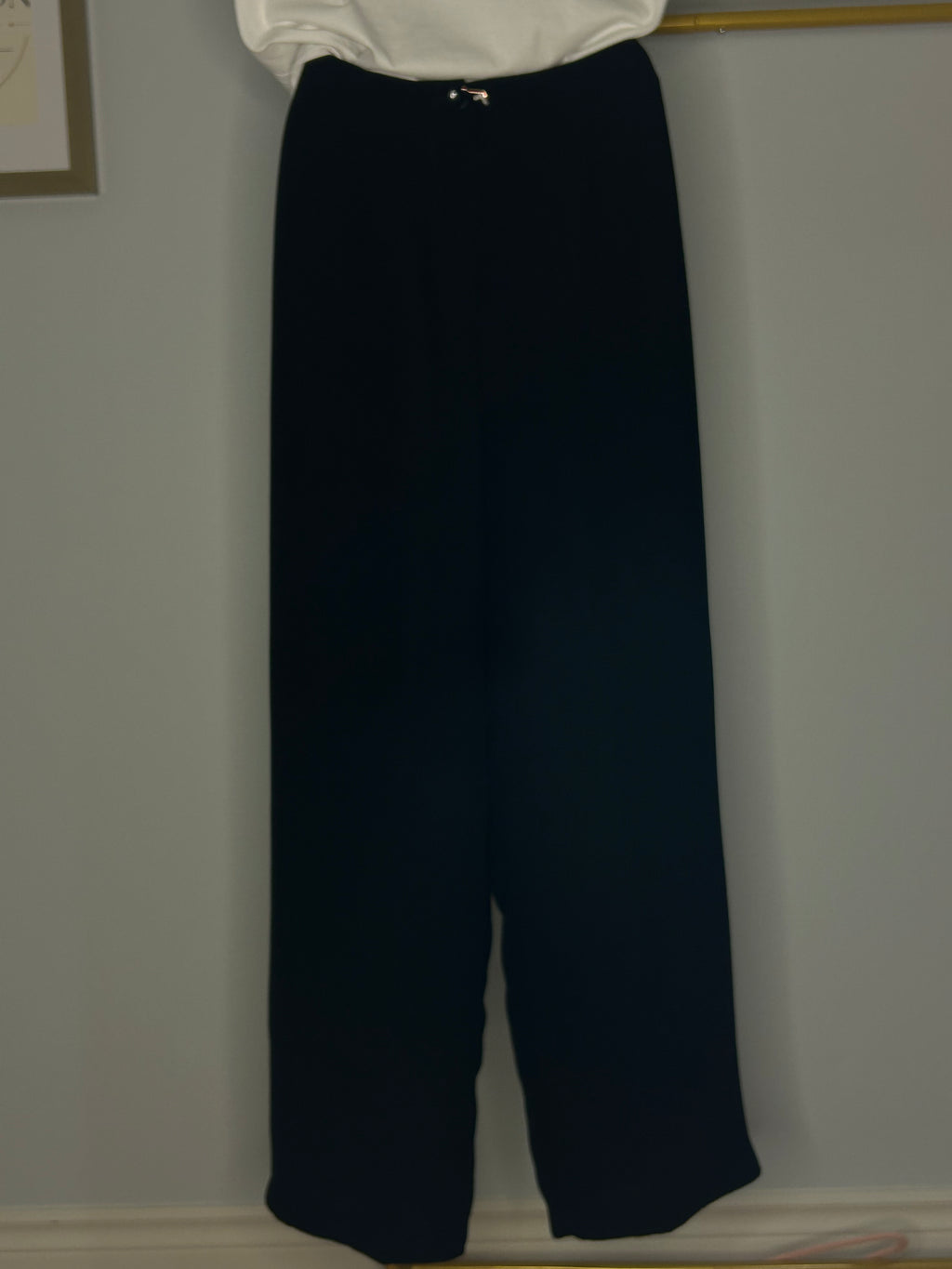 Friction Wide-Leg Dress Pants – Size 8P